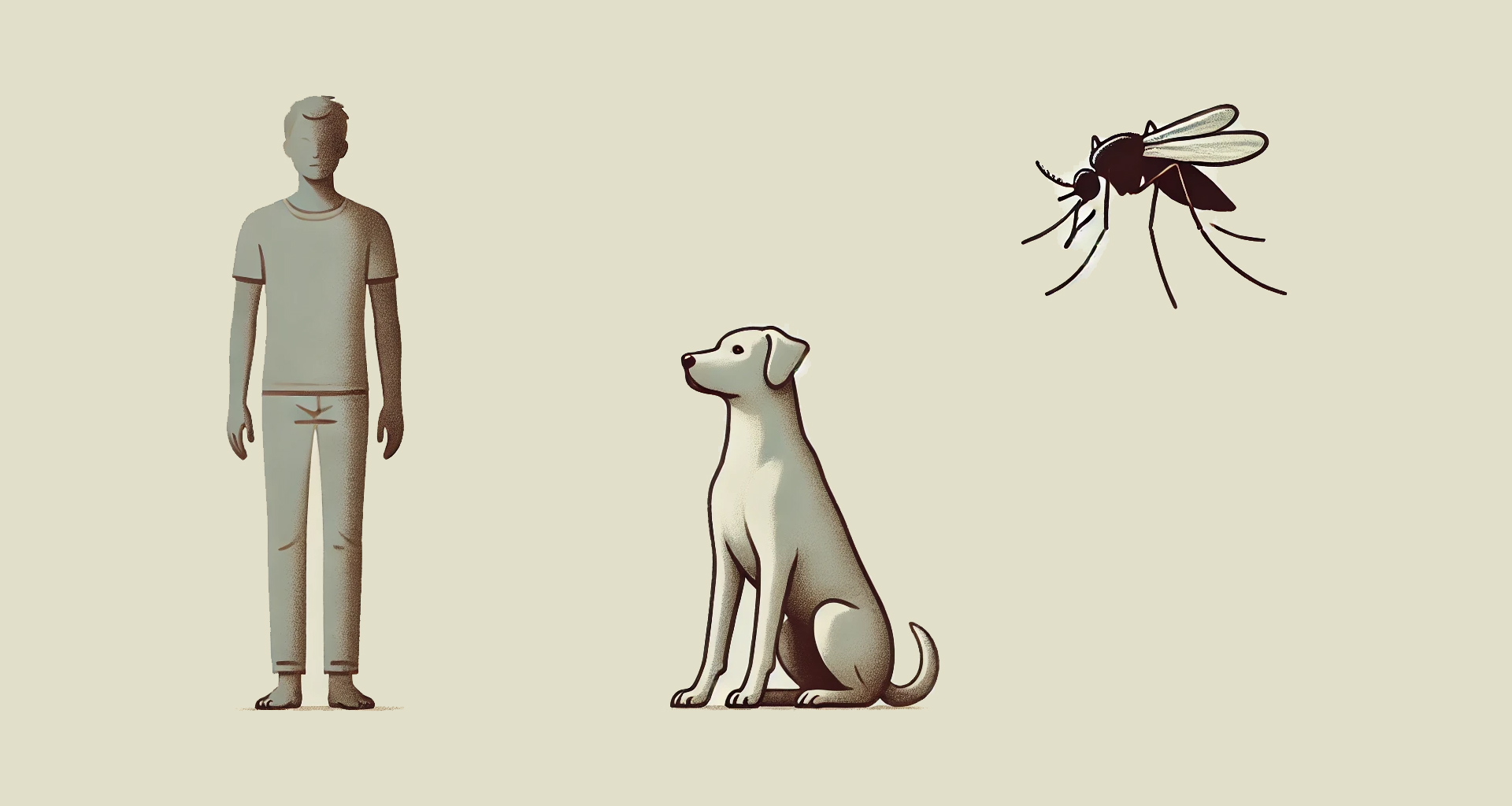 Informes técnicos: Leishmaniose